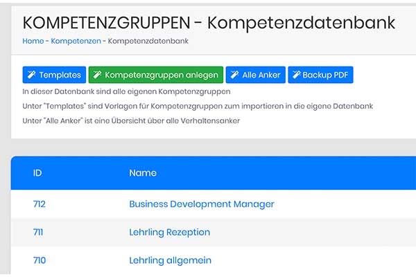 Kompetenzentwicklung Beispielreport